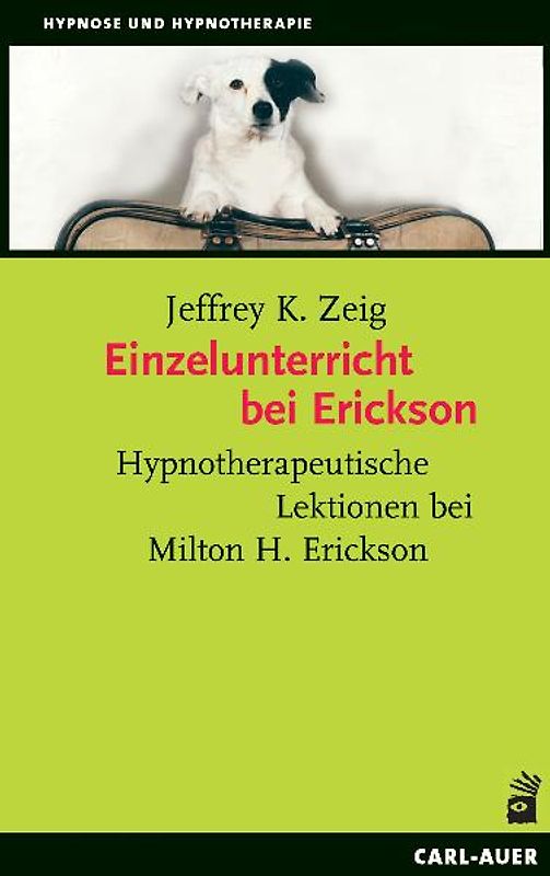 Einzelunterricht bei Erickson