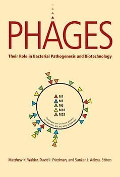 Phages: Their Role in Pathogen and Biotechnology