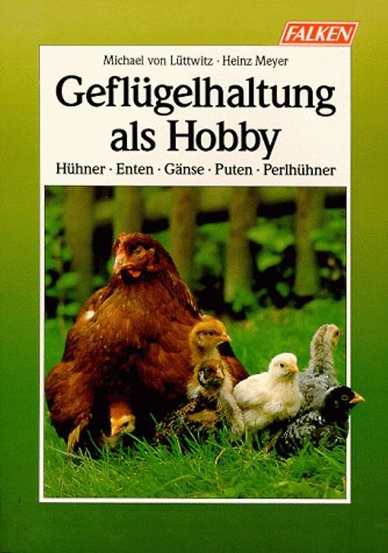 Geflügelhaltung als Hobby