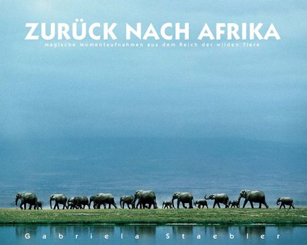 Zurück nach Afrika