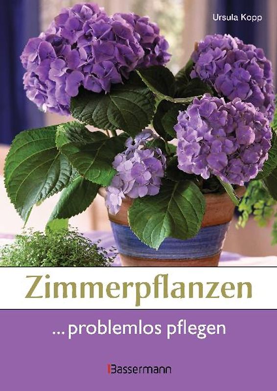 Zimmerpflanzen problemlos pflegen