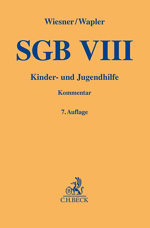 SGB VIII