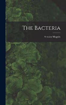 The Bacteria