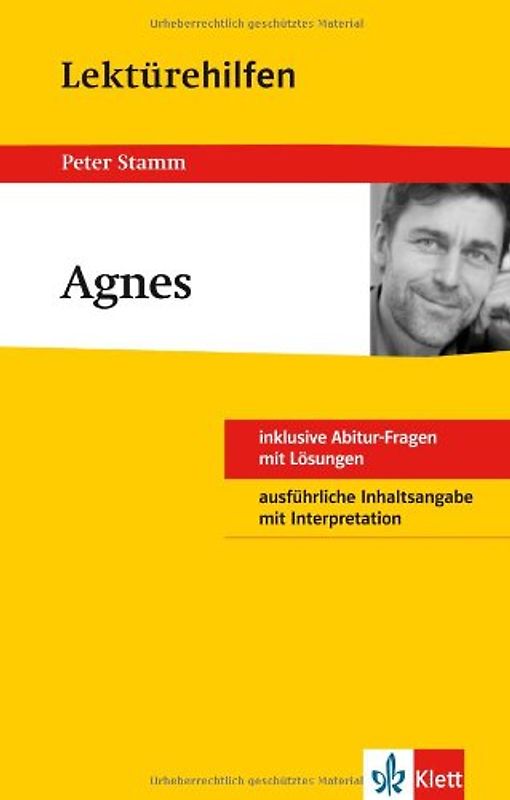 Lektürehilfen Peter Stamm "Agnes"