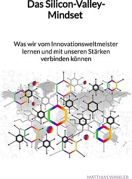 Das Silicon-Valley-Mindset - Was wir vom Innovationsweltmeister lernen und mit unseren Stärken verbinden können