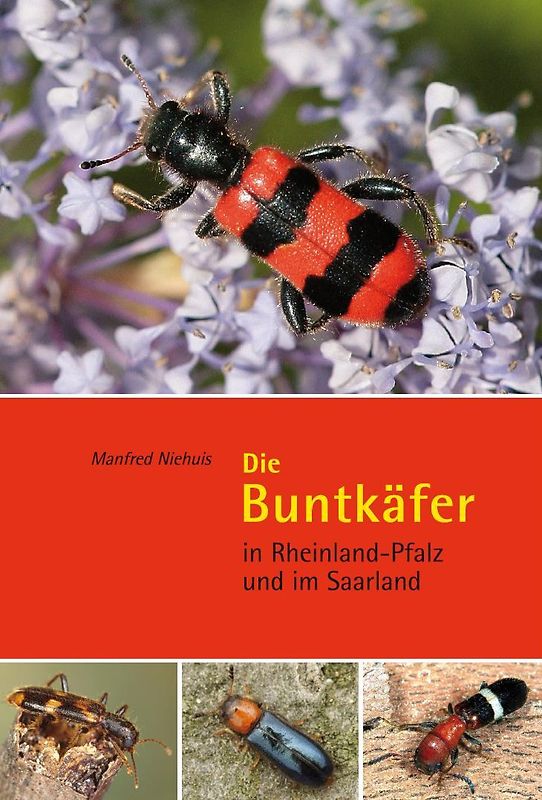 Die Buntkäfer in Rheinland-Pfalz und im Saarland
