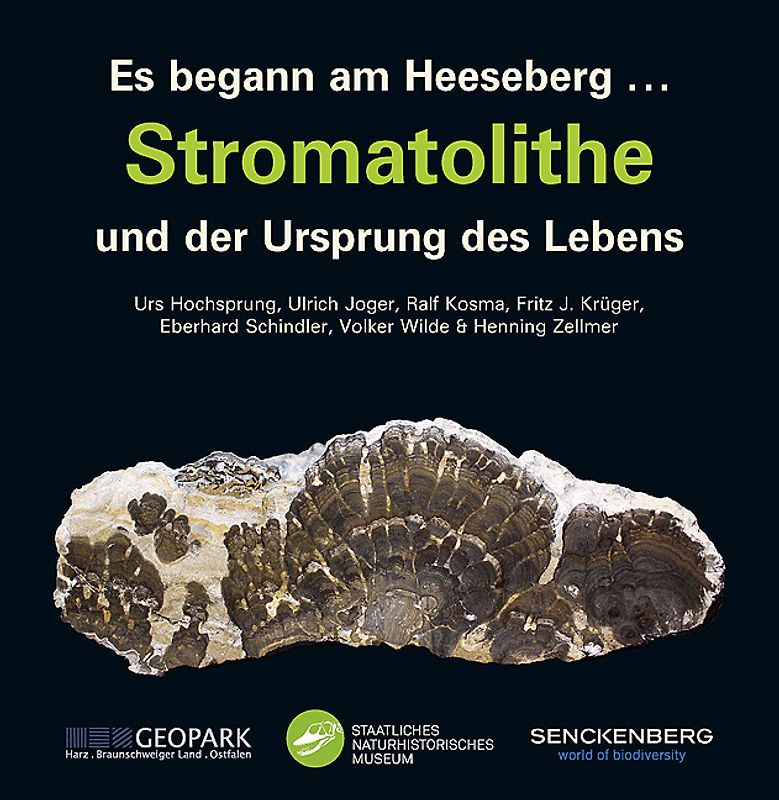 Es begann am Heeseberg . . . Stromatolithe und der Ursprung des Lebens