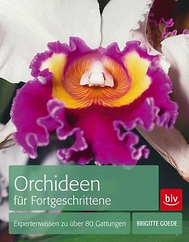 Orchideen für Fortgeschrittene