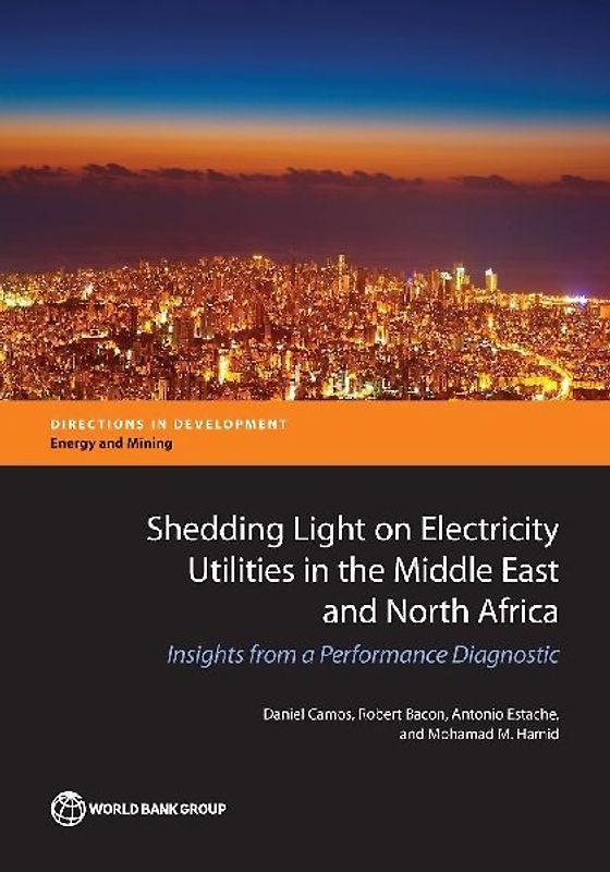 Shedding Light on Electricity Utilities in the Middle East and North Africa
