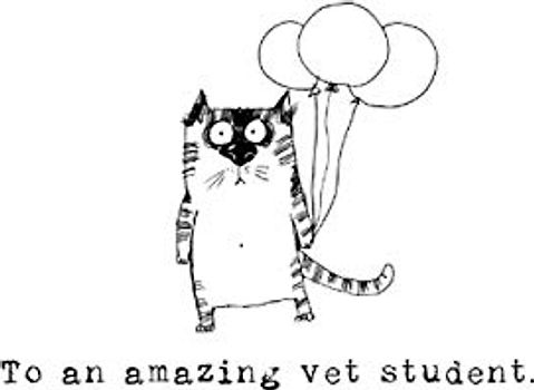 To an amazing vet student: A gift book for a brilliant vet in training
