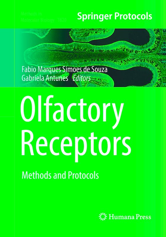 Olfactory Receptors