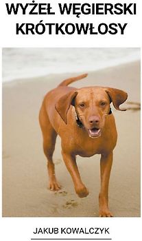 Wyżel Węgierski Krótkowlosy