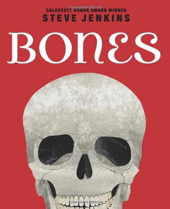 Bones: Skeletons and How They Work - Jenkins, Steve