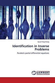 Identification in Inverse Problems