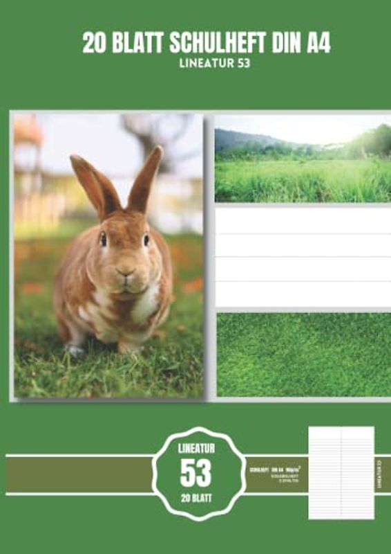 Schulheft Lineatur 53: DIN A4, 20 BLATT, VOKABELHEFT, 2-SPALTIG