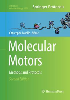 Molecular Motors
