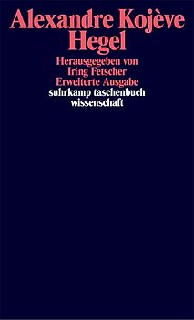 Hegel. Eine Vergegenwärtigung seines Denkens