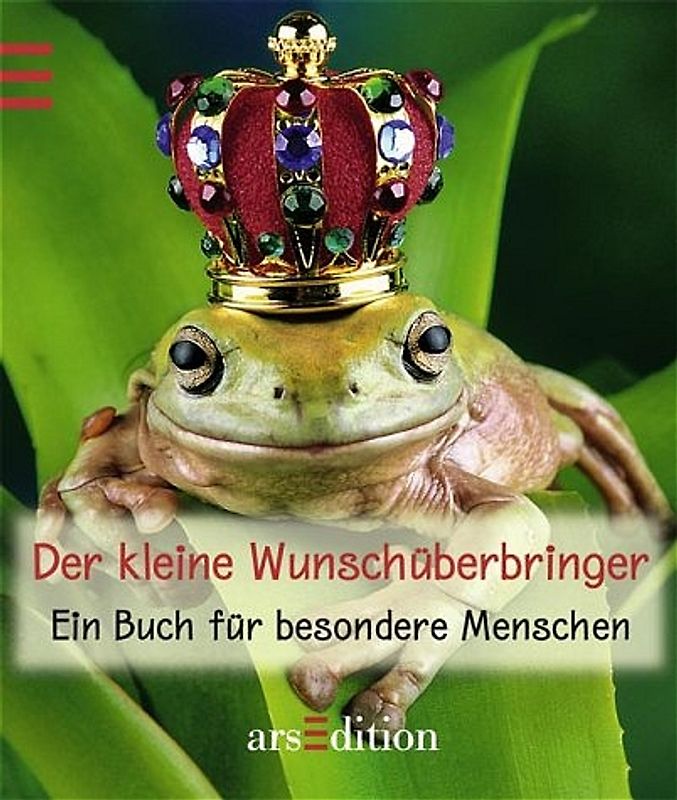 Der kleine Wunschüberbringer