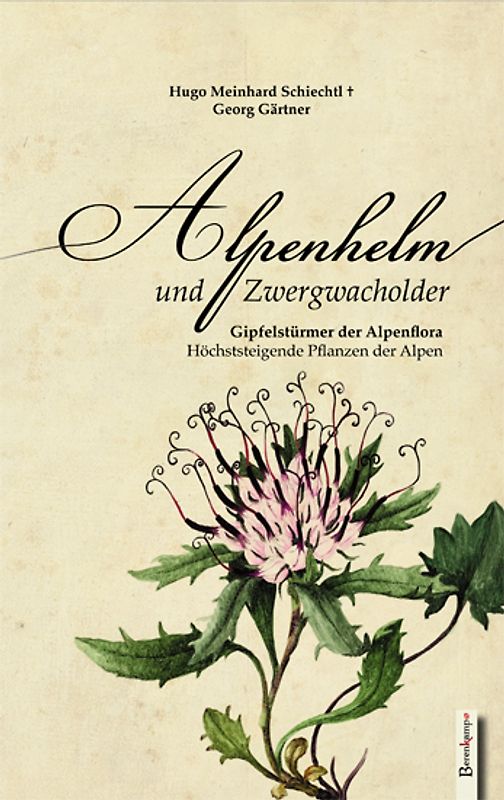 Alpenhelm und Zwergwacholder