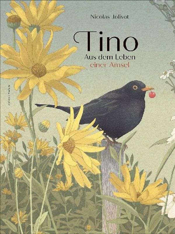 Tino