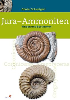 Jura-Ammoniten