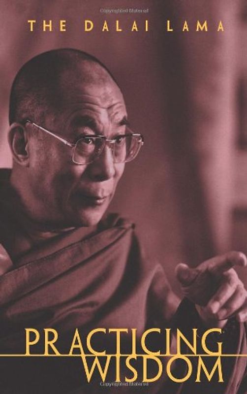 Practicing Wisdom: The Perfection of Shantideva's Bodhisattva Way