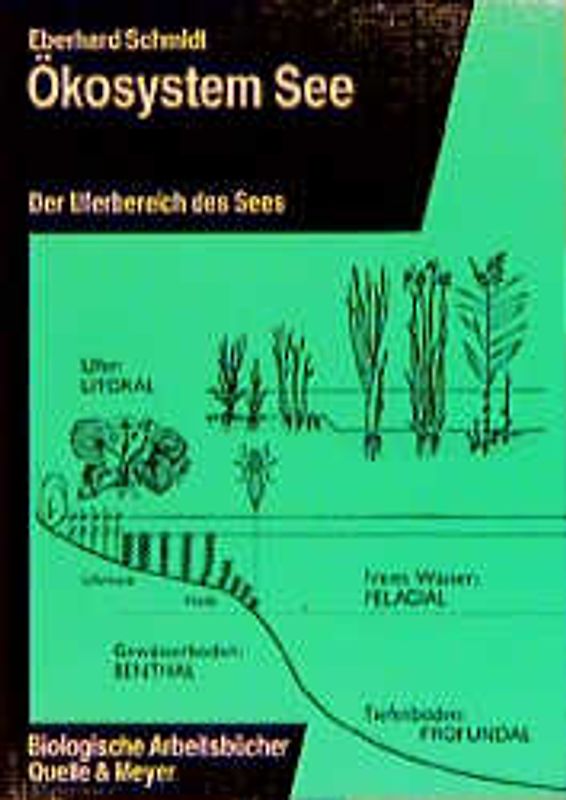 Ökosystem See