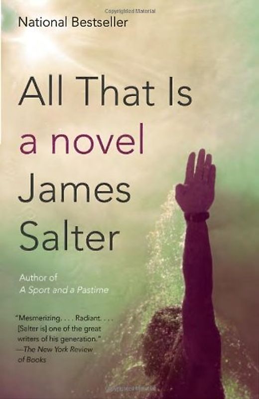 All That Is: A Novel (Vintage International) - Salter, James