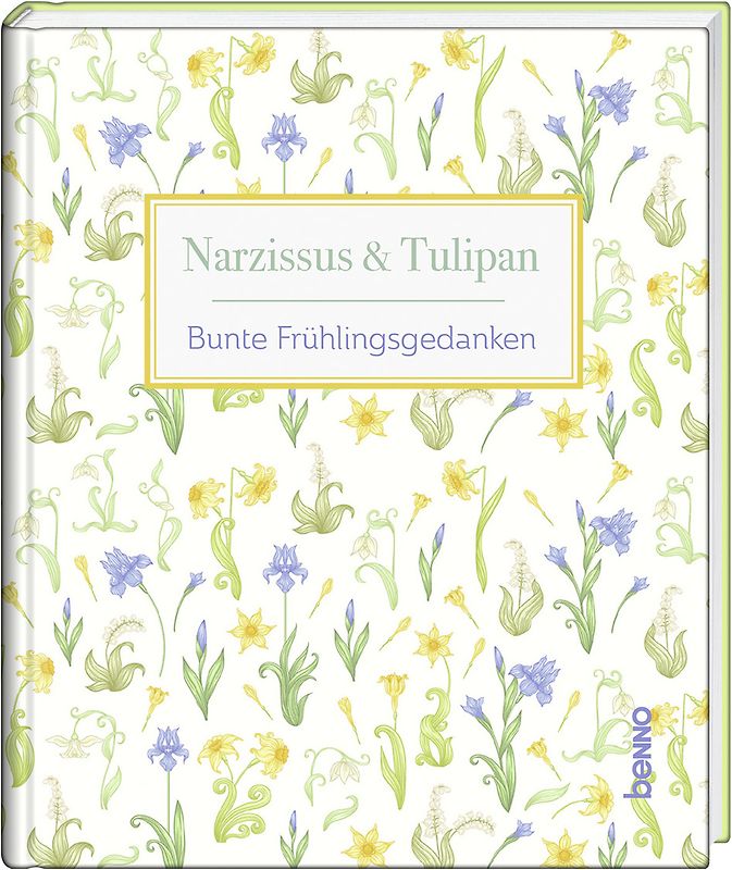 Narzissus & Tulipan