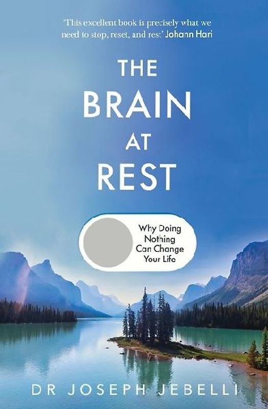 The Brain at Rest