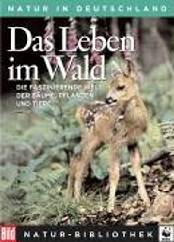 Das Leben im Wald