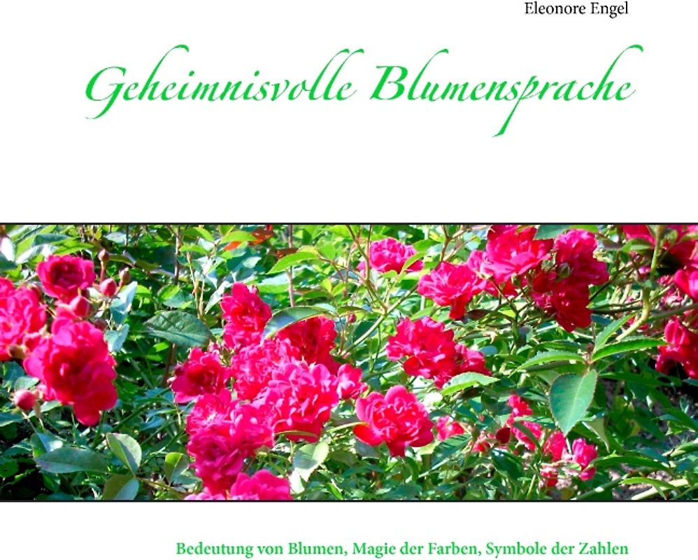 Geheimnisvolle Blumensprache