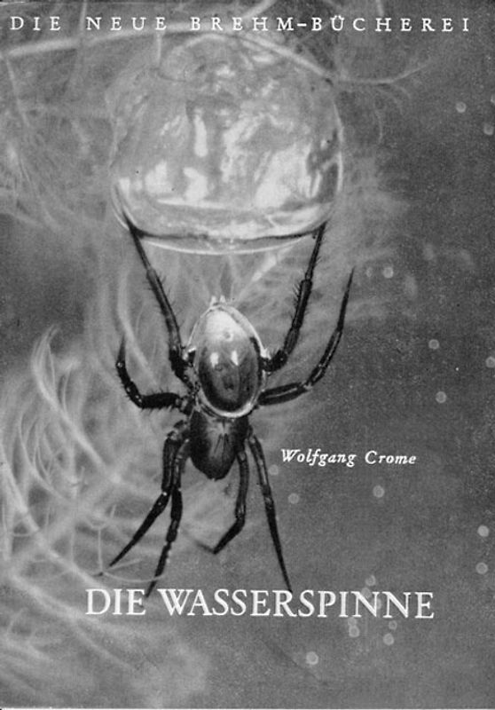 Die Wasserspinne