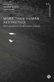 More-Than-Human Aesthetics