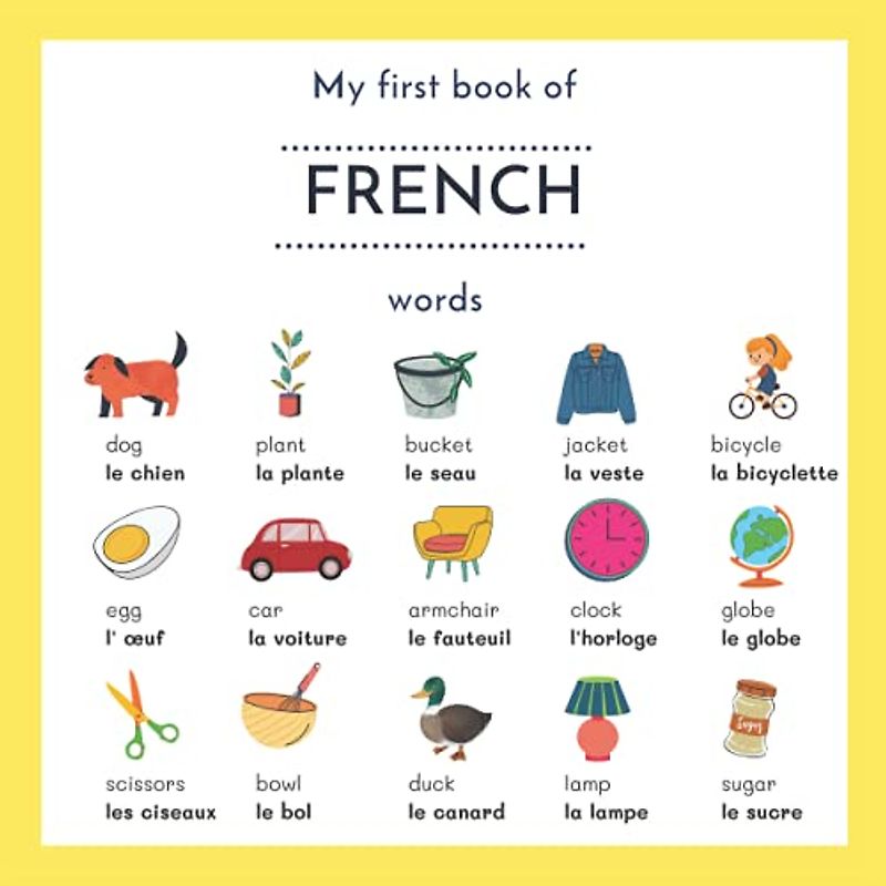 My First Book Of French Words: My First Words in French | English French Picture Dictionary | French English Children's Book | French English ... Books For Children French | Anglais Français