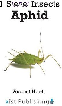 Aphid
