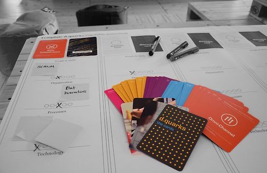 d.quarks Playcards/Bookbundle