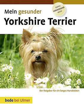 Mein gesunder Yorkshire Terrier