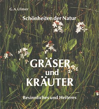 Gräser und Kräuter