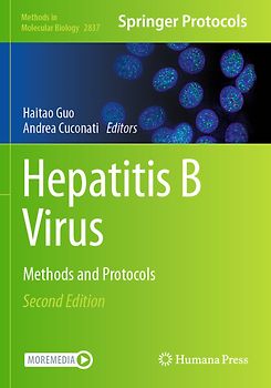 Hepatitis B Virus