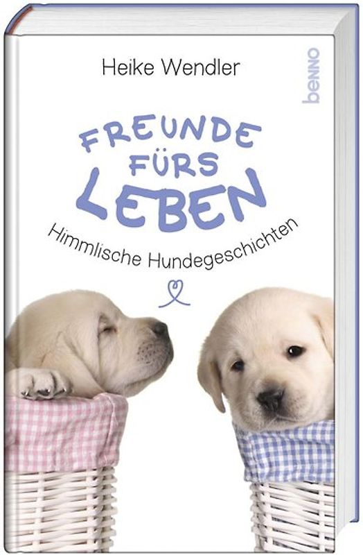 Freunde fürs Leben
