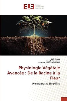 Physiologie Végétale Avancée : De la Racine à la Fleur