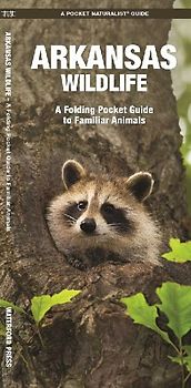 Arkansas Wildlife