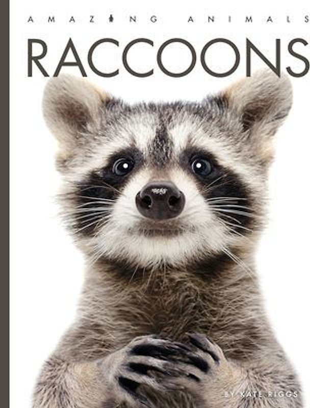 Raccoons