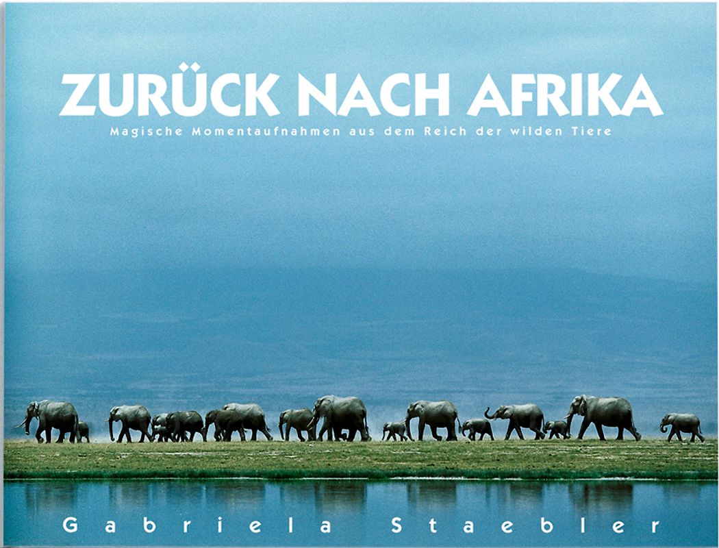 Zurück nach Afrika