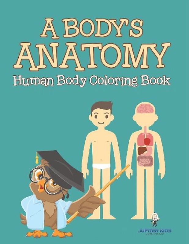 A Body's Anatomy