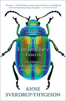 Extraordinary Insects