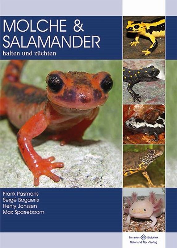 Molche und Salamander