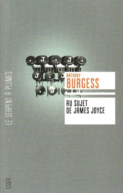 Au sujet de James Joyce : Une introduction pour le lecteur ordinaire