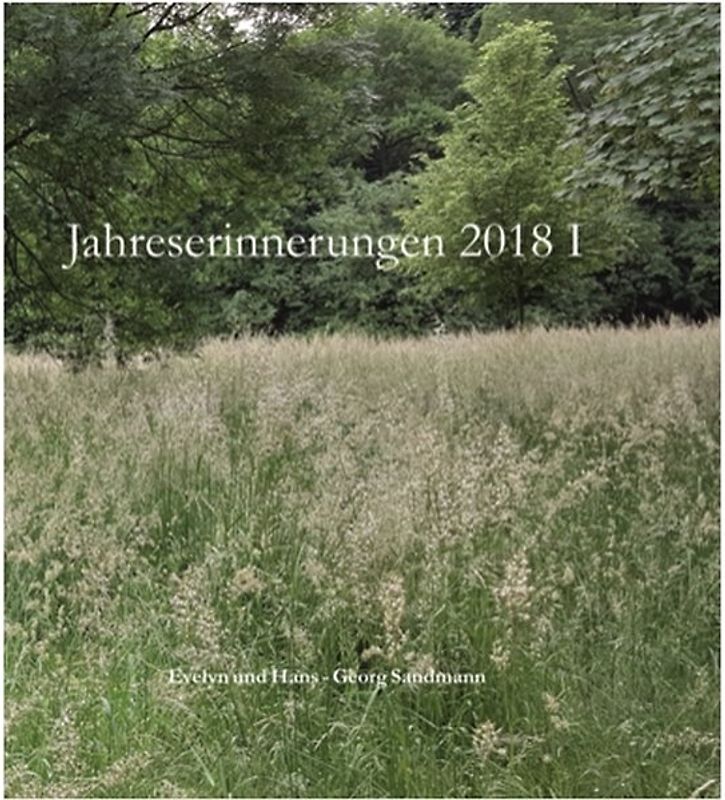 Jahreserinnerungen 2018 I